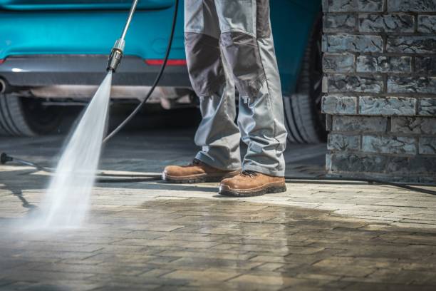 Best Parking Lot Cleaning in Tower Lakes, IL