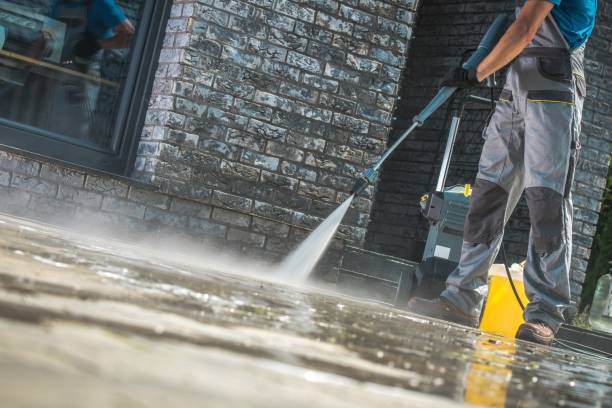 Best Graffiti Removal Services in Tower Lakes, IL
